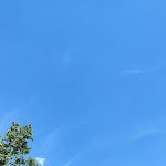 Photo n°3 de l'avis de Maurizio.a fait le 03/07/2022 à 18:21 sur le  Ristorante Crotto Ombra à Chiavenna