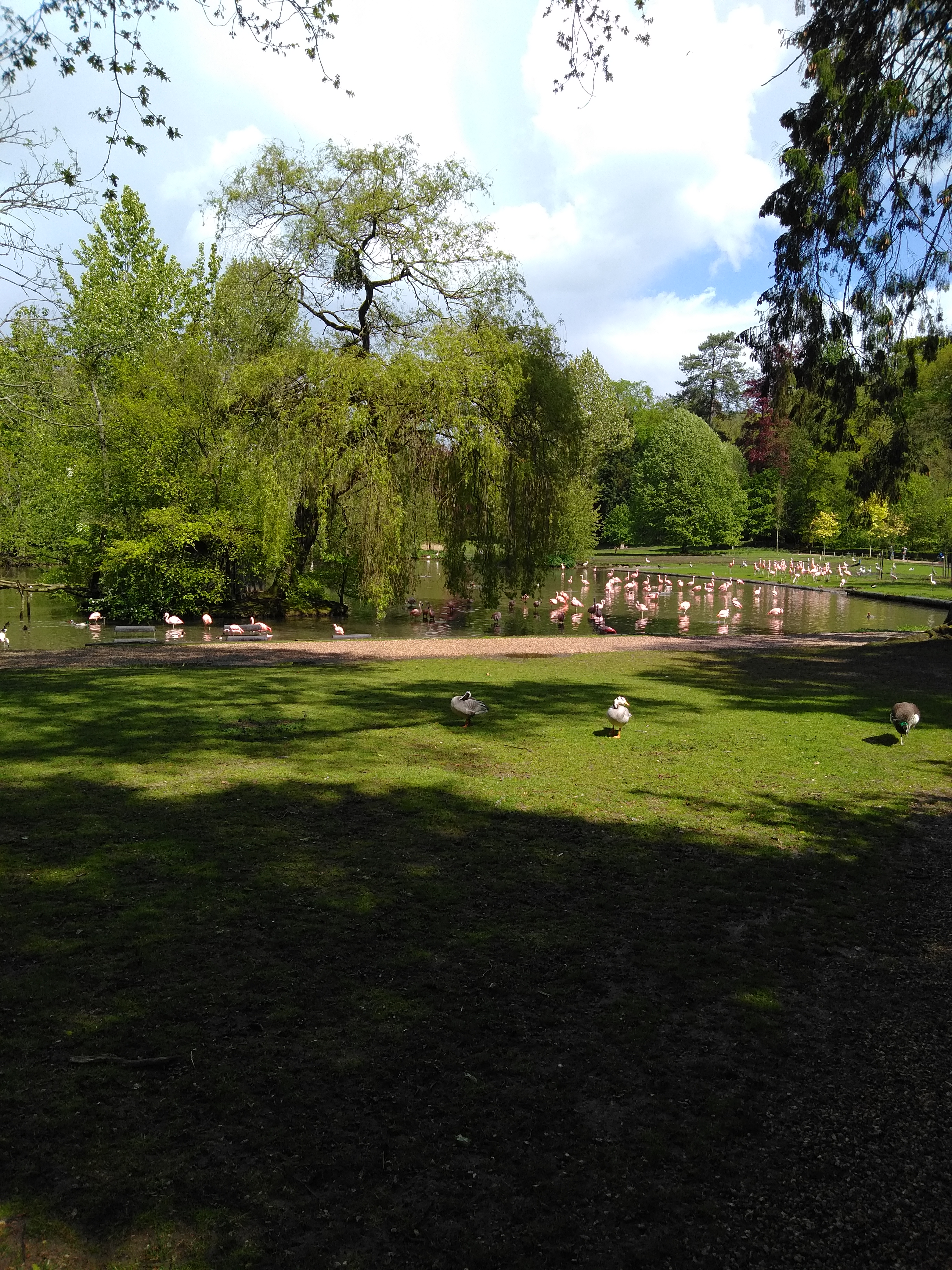 Photo n° 10 de l'avis de Francois.u fait le 08/05/2019 à 16:10