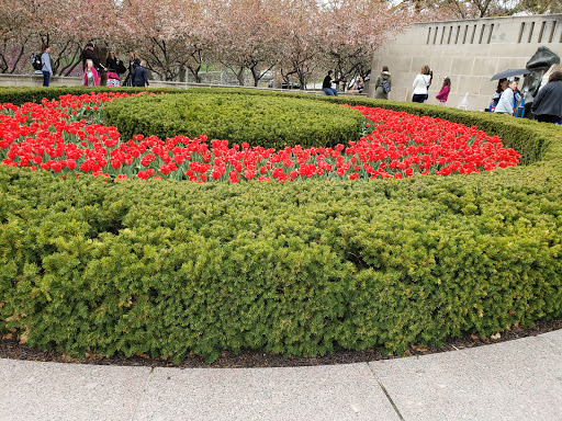 Art Museum «The Nelson-Atkins Museum of Art», reviews and photos, 4525 Oak St, Kansas City, MO 64111, USA