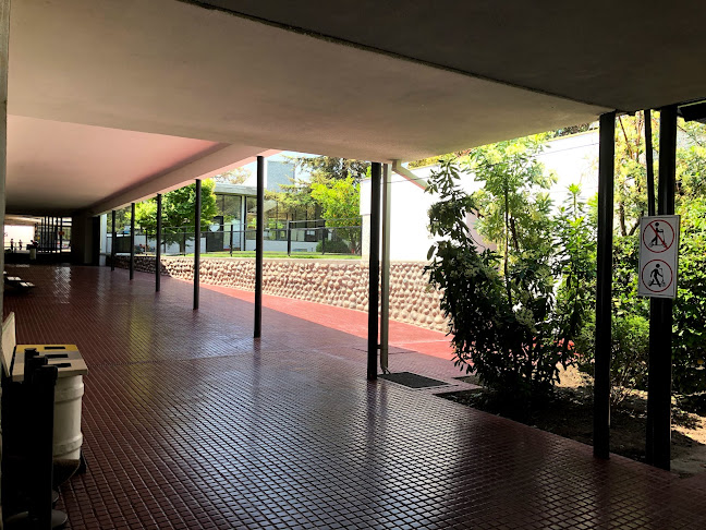 Opiniones de Colegio San Ignacio El Bosque en Providencia - Escuela
