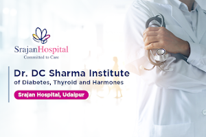 Dr. D.C. Sharma - Diabetes Thyroid & Sex Hormones, Srajan Hospital, Udaipur image