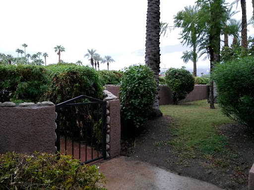 AAA - Automobile Club of Southern California, 300 S Farrell Dr, Palm Springs, CA 92262, USA, Auto Insurance Agency