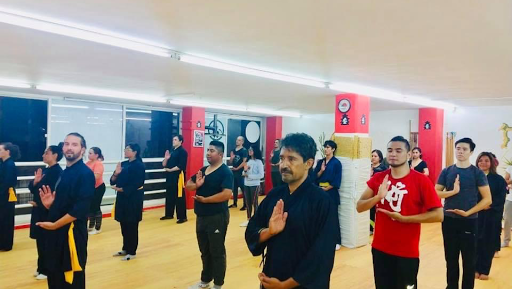 Templo Shaolin Mexico Colonia Roma. Kung Fu y Tai Chi