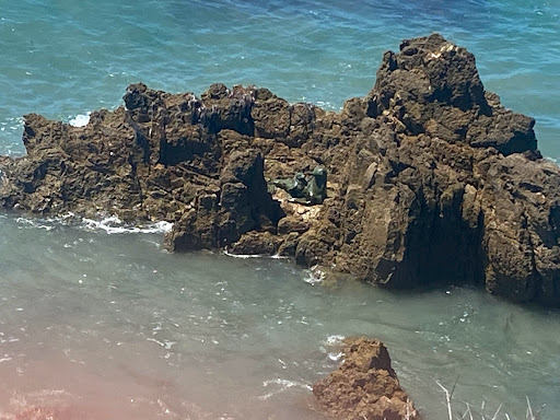Tourist Attraction «Inspiration Point», reviews and photos, 3001 Ocean Blvd, Corona Del Mar, CA 92625, USA