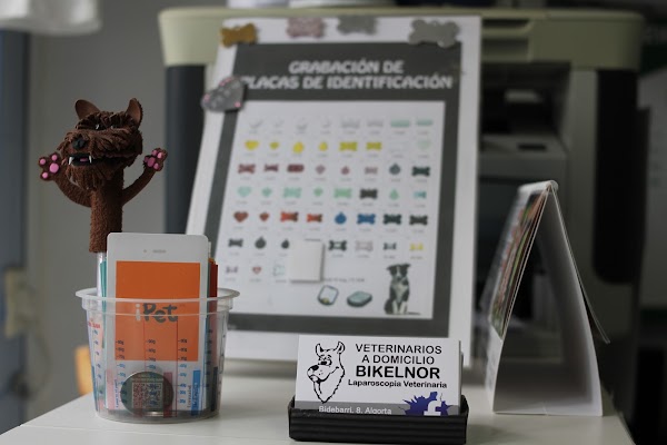 Imagen de Veterinarios A Domicilio (7 de 13)