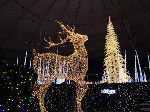 Shoe Store «FITniche», reviews and photos, 28139 Paseo Drive, Wesley Chapel, FL 33543, USA