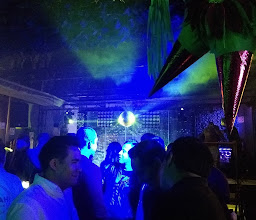 Bubbah Condesa photo