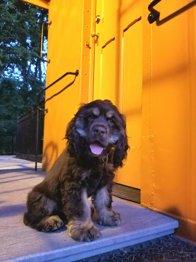 Water Park «Itasca Caribbean Water Park», reviews and photos, 100 Catalpa Ave, Itasca, IL 60143, USA