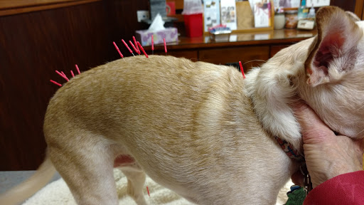 Richmond Veterinary Clinic