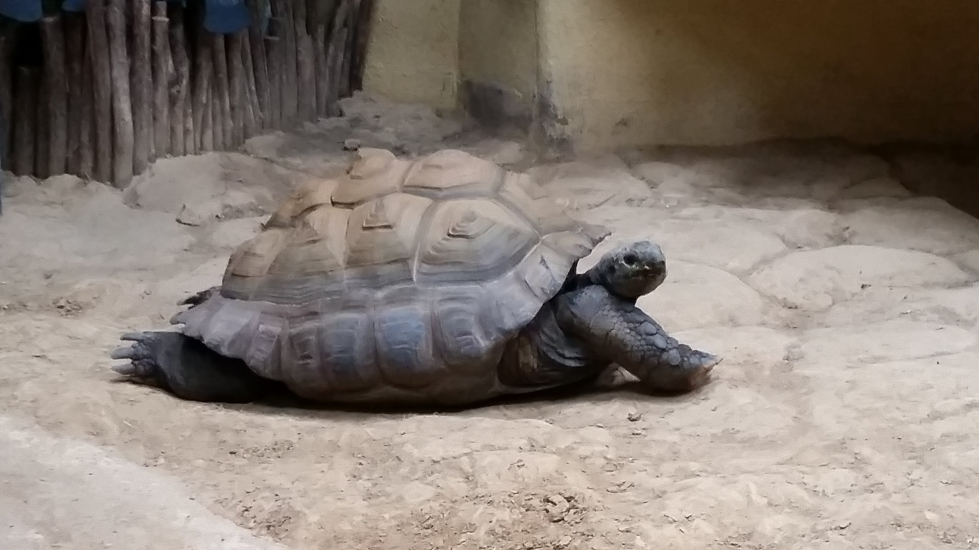 Photo n° 8 de l'avis de Adeline. fait le 08/10/2017 à 15:43