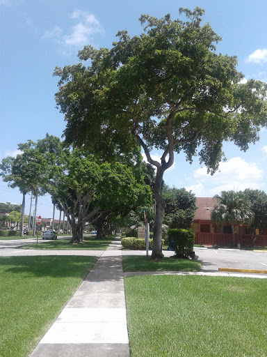 Golf Course «The Bridges at Springtree Golf Club», reviews and photos, 8150 Springtree Dr, Sunrise, FL 33351, USA