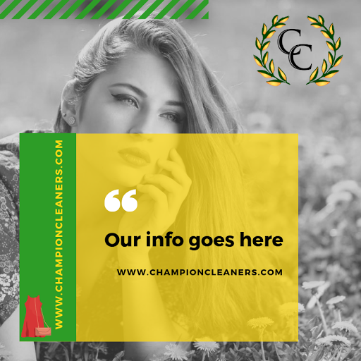 Dry Cleaner «Champion Cleaners - Greystone/Highway 280», reviews and photos, 5403 US-280 #101, Birmingham, AL 35242, USA