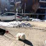 Photo n°2 de l'avis de Michele.i fait le 17/02/2019 à 23:28 sur le  Bar Gelo à Roccaraso