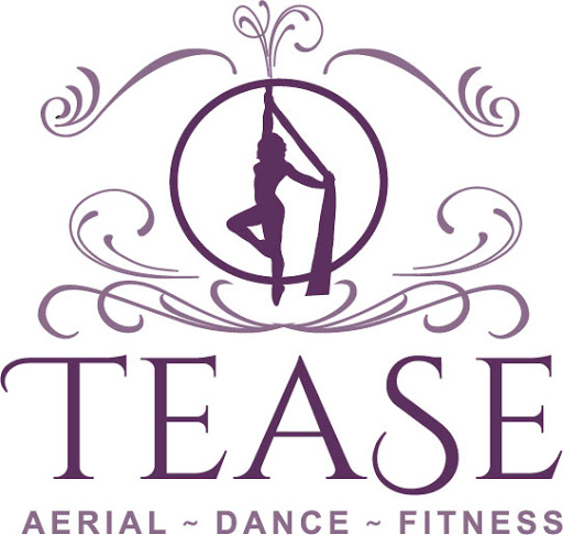 Dance School «Tease Dance & Fitness», reviews and photos, 4222 Meridian Pkwy, Aurora, IL 60504, USA