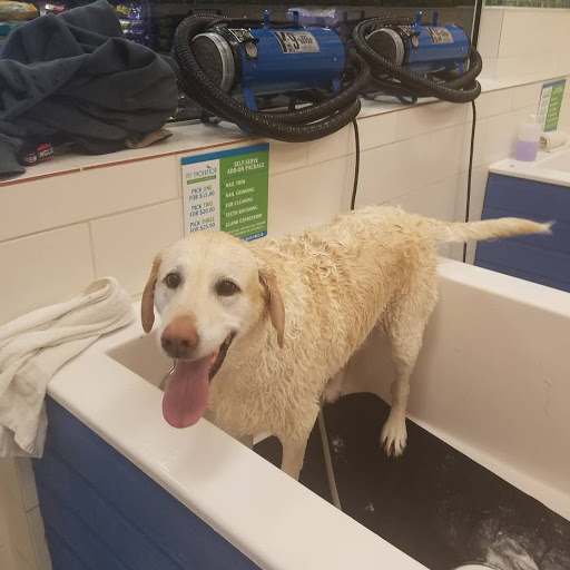 Pet Supply Store «Pet Evolution - Pet Food | Dog Wash | Grooming», reviews and photos, 429 Commerce Dr, Woodbury, MN 55125, USA