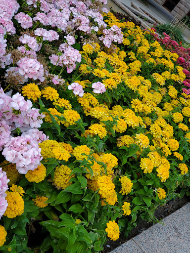 Museum «Colorado Springs Pioneers Museum», reviews and photos, 215 S Tejon St, Colorado Springs, CO 80903, USA