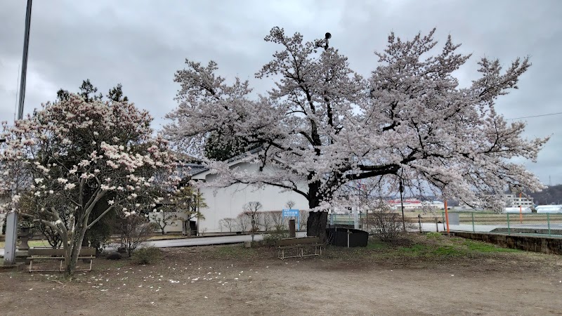 高柳公園