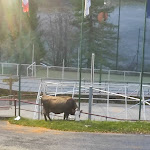 Photo n°1 de l'avis de Nicoletta.r fait le 07/02/2022 à 16:09 sur le  Baita Vareno à Località Vareno