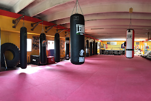 Bronx Gym Cesena - Palestra Muay Thai, Boxe, Pugilato, Cross Training image