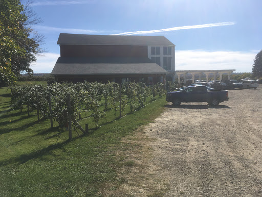 Winery «Arundel Cellars & Brewing Co», reviews and photos, 11727 E Main St, North East, PA 16428, USA