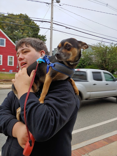 Park «Whitman Town Recreation Department», reviews and photos, 54 South Ave #1, Whitman, MA 02382, USA