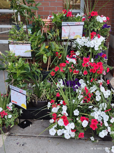 Supermarket «Big Y», reviews and photos, 2035 Boston Rd, Wilbraham, MA 01095, USA