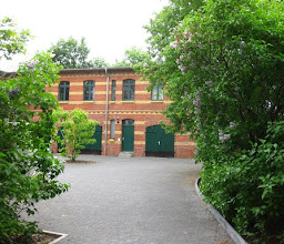 bamboo yoga II photo