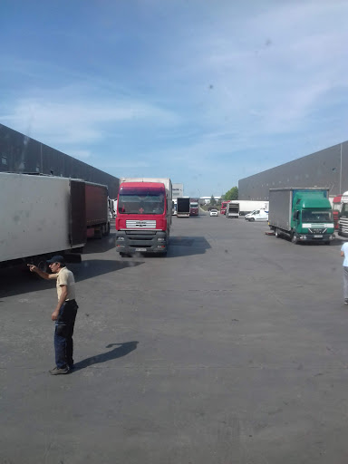 Oferte de munca transportator Bucharest