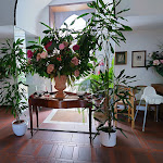 Photo n°7 de l'avis de Massimo. fait le 23/10/2023 à 07:19 sur le  Ristorante Il Giardino à Brindisi