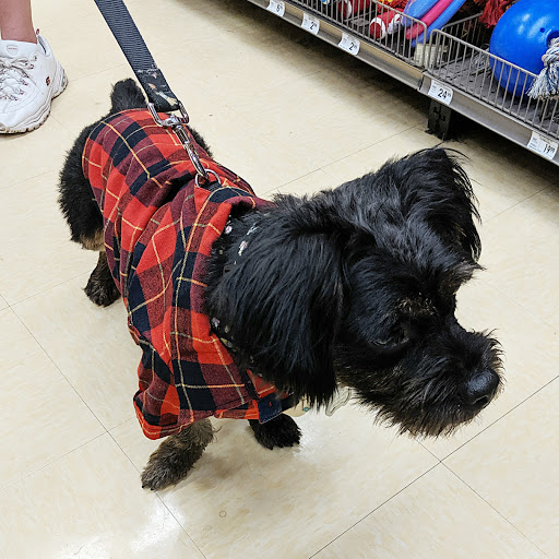 Pet Supply Store «Petco», reviews and photos, 131 N Cattlemen Rd, Sarasota, FL 34243, USA