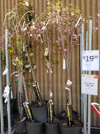 Discount Store «Kmart», reviews and photos, 411 Main St, Belleville, NJ 07109, USA