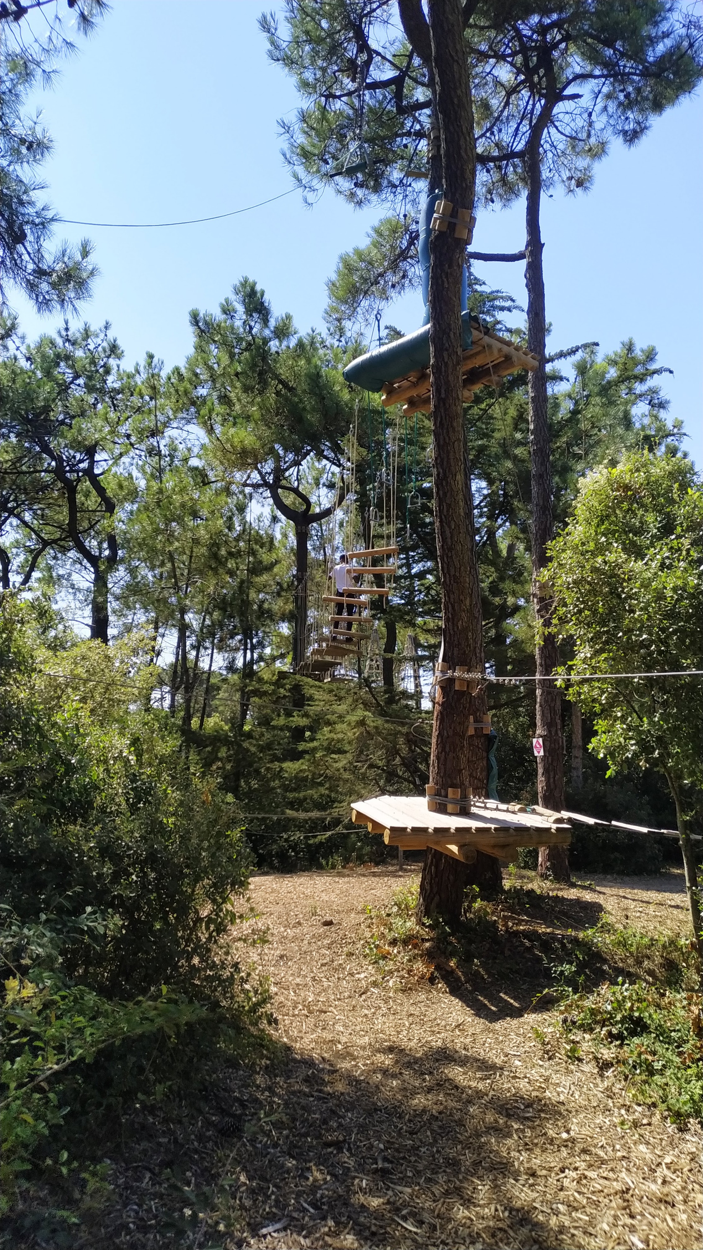 Photo n° 9 de l'avis de Sam.a fait le 30/07/2020 à 17:04