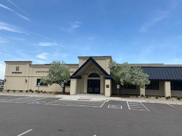 K9 Resorts Luxury Pet Hotel Lone Tree