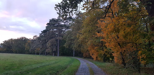 Bois de Laye à Arnas