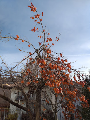 Extérieur Bed & Breakfast B & B in Capital 38123 Cadine