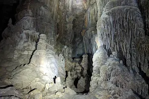 Kickapoo Cavern State Park image