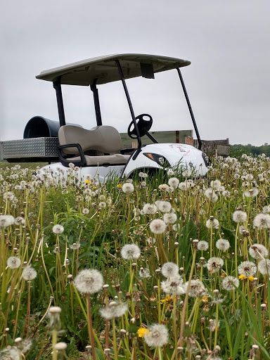 Campground «Cooperstown KOA», reviews and photos, 565 Ostrander Rd, Richfield Springs, NY 13439, USA