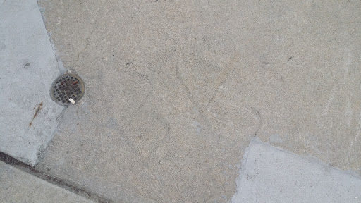 Movie Theater «Showcase Cinemas Woburn», reviews and photos, 25 Middlesex Canal Park Dr, Woburn, MA 01801, USA