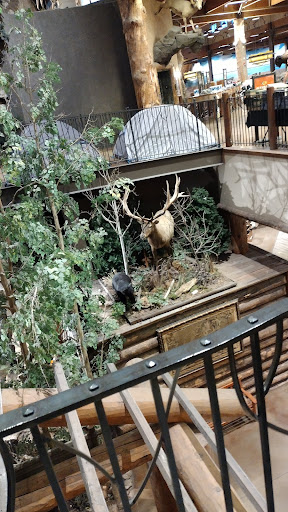 Outdoor Sports Store «Bass Pro Shops», reviews and photos, 7970 Northfield Blvd, Denver, CO 80238, USA