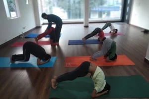 Usha's Yoga Studio image