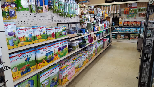 Pet Store «Species Pet Supply», reviews and photos, 1935 W Brandon Blvd, Brandon, FL 33511, USA