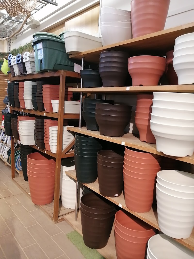 渋谷園芸 東京都練馬区豊玉中 花屋 花 グルコミ