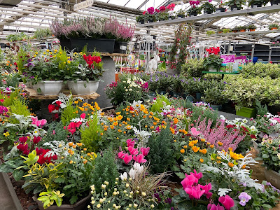 Jardinerie Toulousaine à Saint-Jory