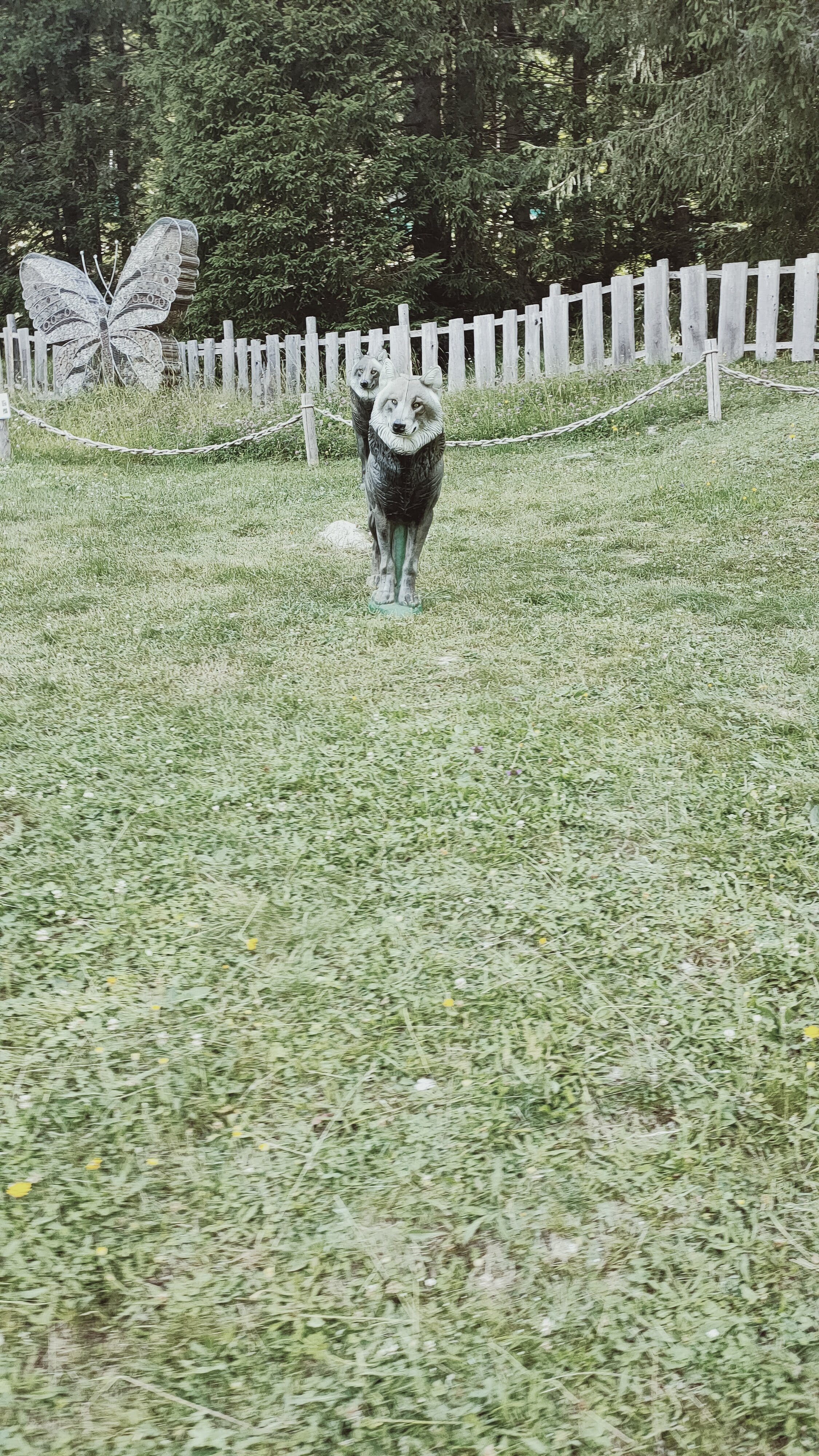 Photo n° 2 de l'avis de Christelle. fait le 05/08/2021 à 14:08