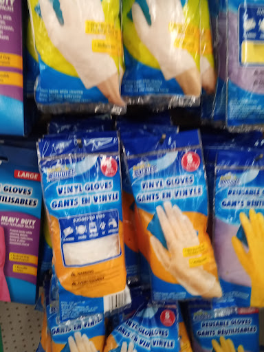 Dollar Store «Dollar Tree», reviews and photos, 2603 Thonotosassa Rd, Plant City, FL 33563, USA