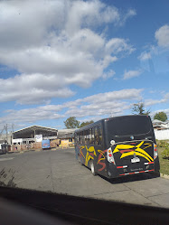 Estacion De Buses Rio Bueno