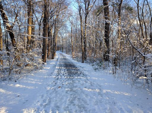 Park «Pond Meadow Park», reviews and photos, 470 Liberty St, Braintree, MA 02184, USA