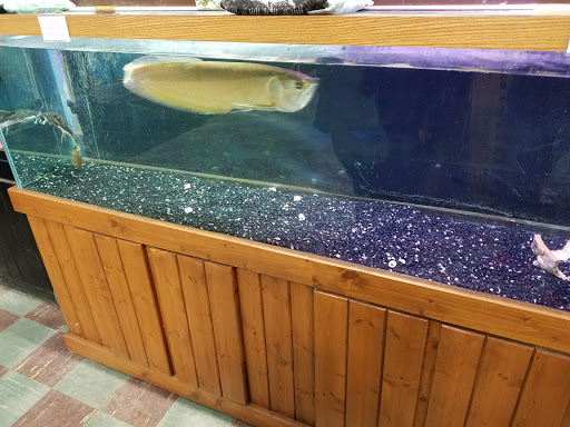 Pet Store «The Pet Zone», reviews and photos, 20 W Oak St, Pittston, PA 18640, USA