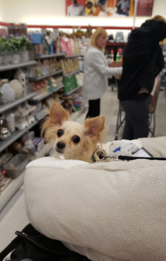 Department Store «HomeGoods», reviews and photos, 26781 Aliso Creek Rd, Aliso Viejo, CA 92653, USA