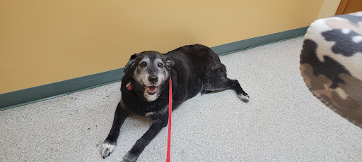 Pet Supply Store «Petco Animal Supplies», reviews and photos, 2901 32nd Ave S, Grand Forks, ND 58201, USA